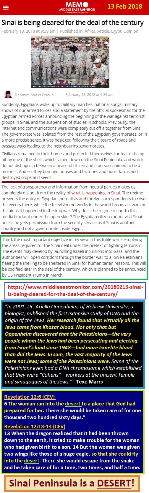 https://www.middleeastmonitor.com/20180213-sinai-is-being-cleared-for-the-deal-of-the-century/