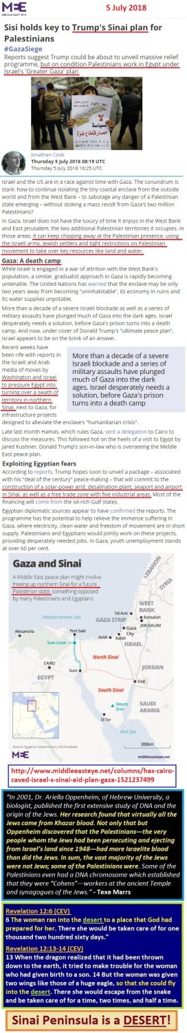 https://www.middleeasteye.net/opinion/sisi-holds-key-trumps-sinai-plan-palestinians