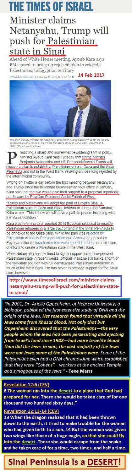 https://www.timesofisrael.com/minister-claims-netanyahu-trump-will-push-for-palestinian-state-in-sinai/
